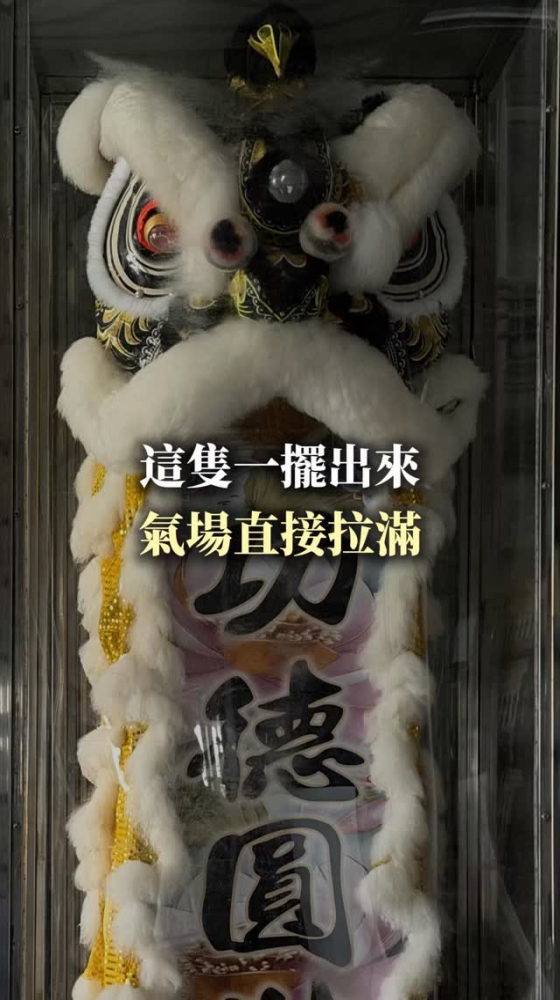 這隻一擺出來，氣場直接拉滿